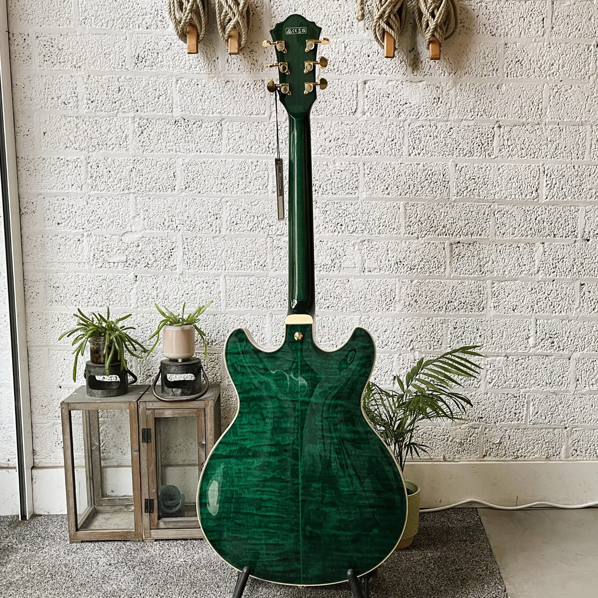 ibanez as93fm transparent moss green semi-hollow electric guitar back view