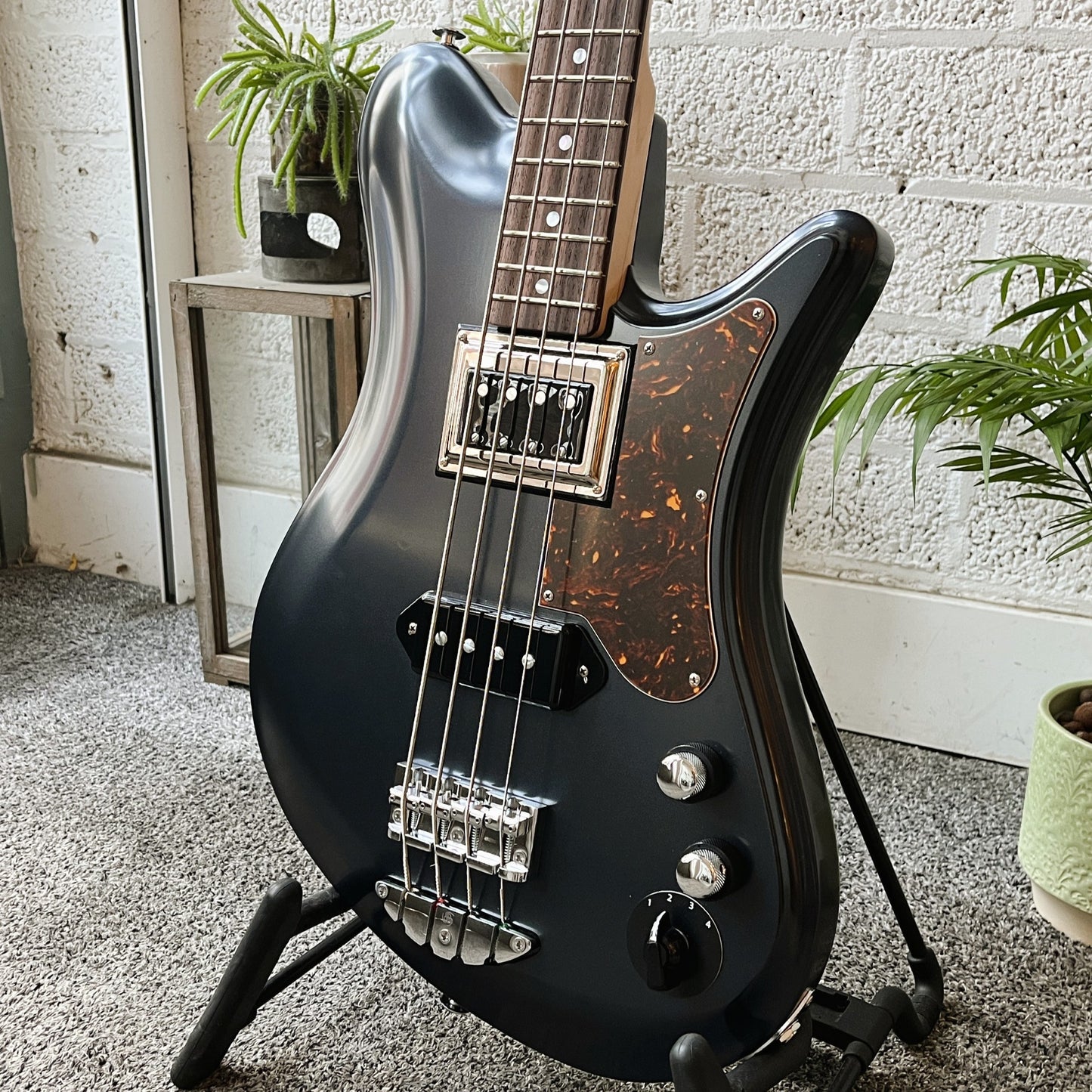 oopegg stormbreaker bass charcoal frost with brown tortoise pickguard angled body closeup