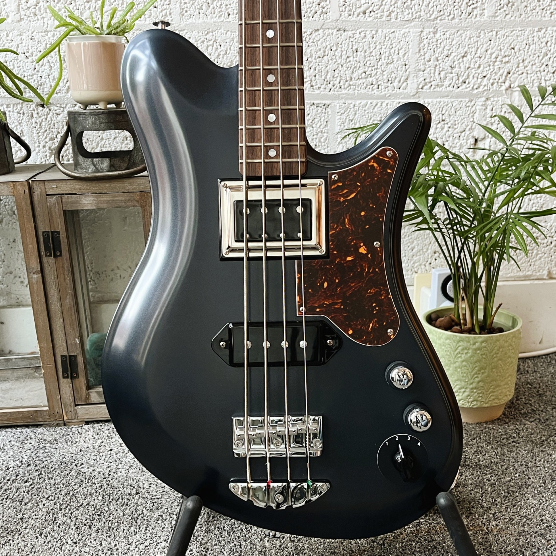 oopegg stormbreaker bass charcoal frost with brown tortoise pickguard body closeup