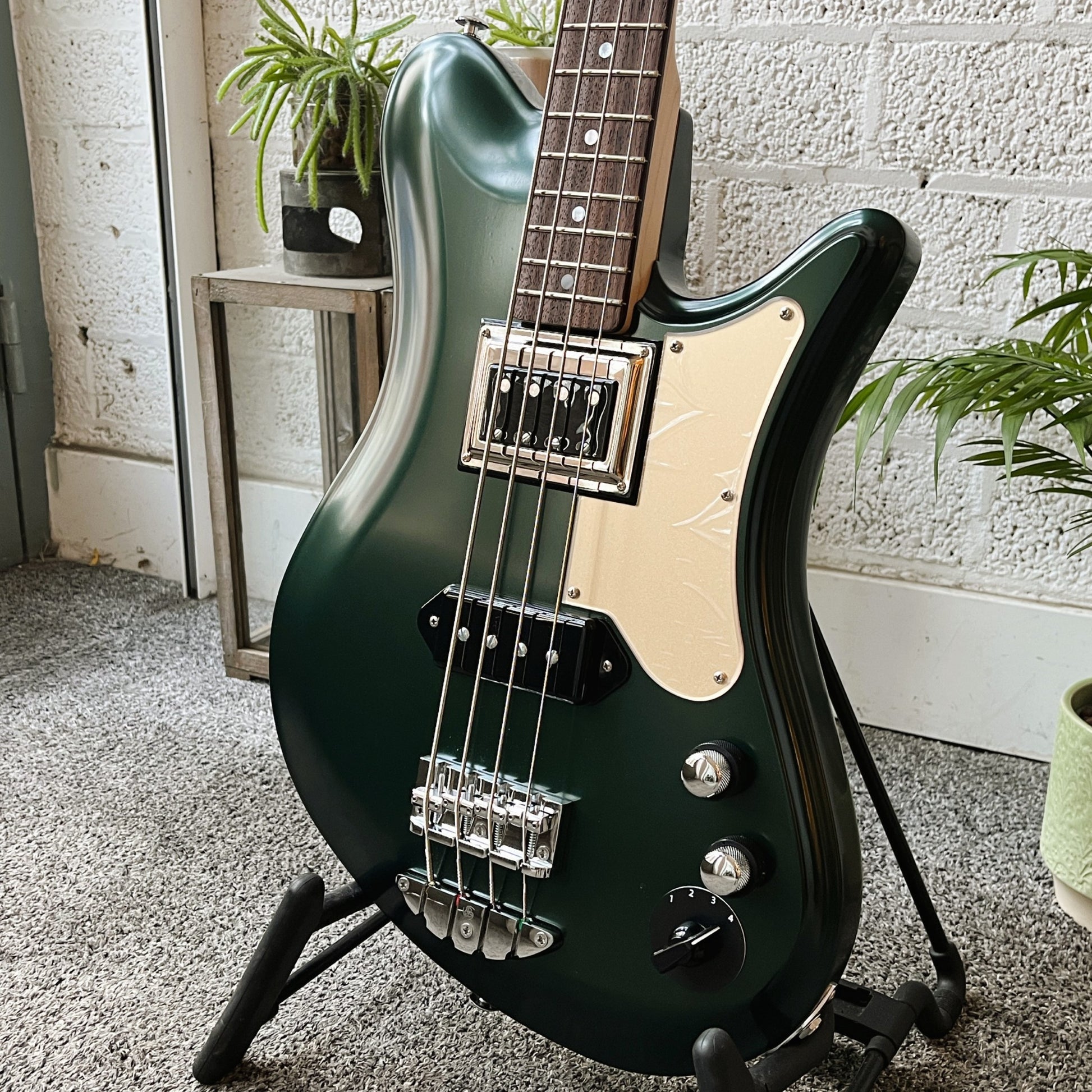 oopegg stormbreaker bass dark green metallic with gold acrylic pickguard angled body closeup