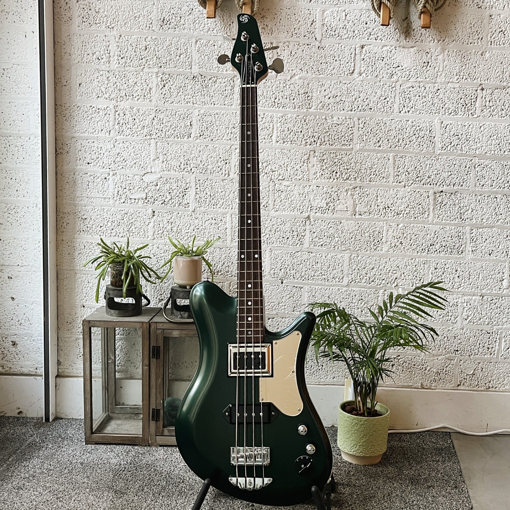 oopegg stormbreaker bass dark green metallic with gold acrylic pickguard