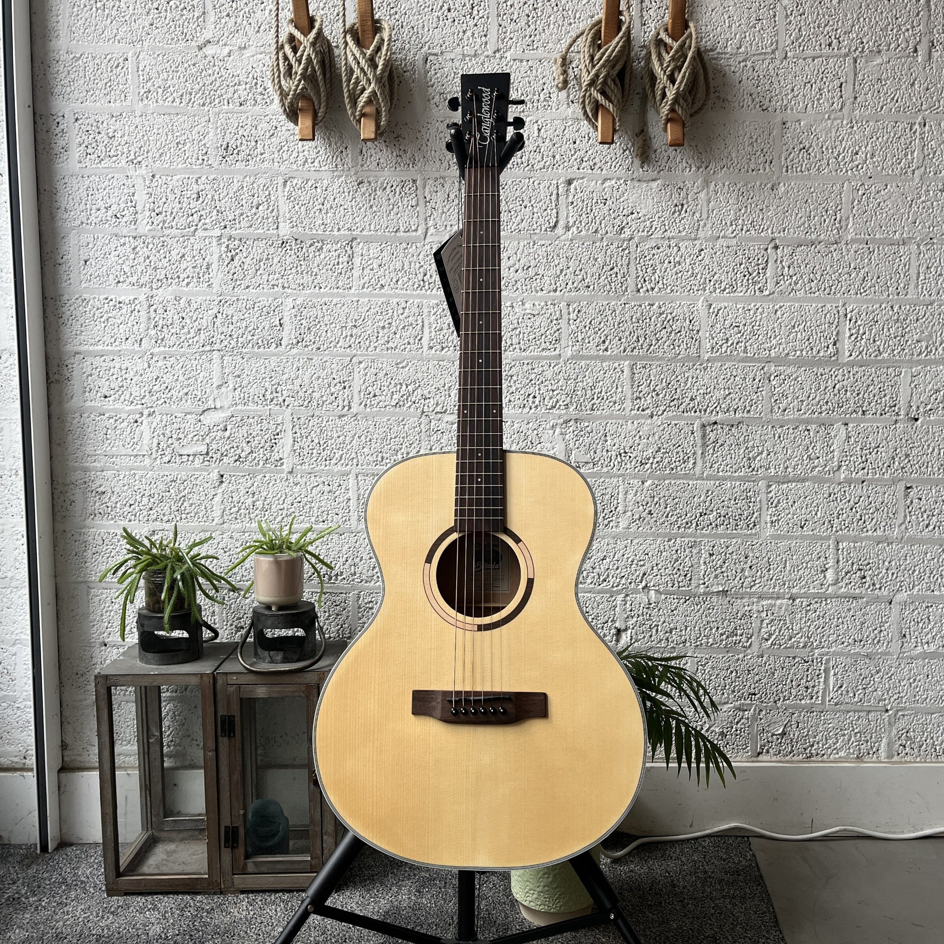 tanglewood ts3 strada auditorium acoustic guitar front view